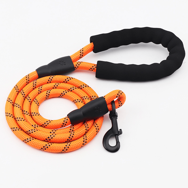 Heijastava ja paksu talutushihna - Tukkukoira