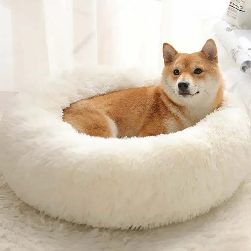 PeaceBed™ turvallinen koiranpeti - Tukkukoira