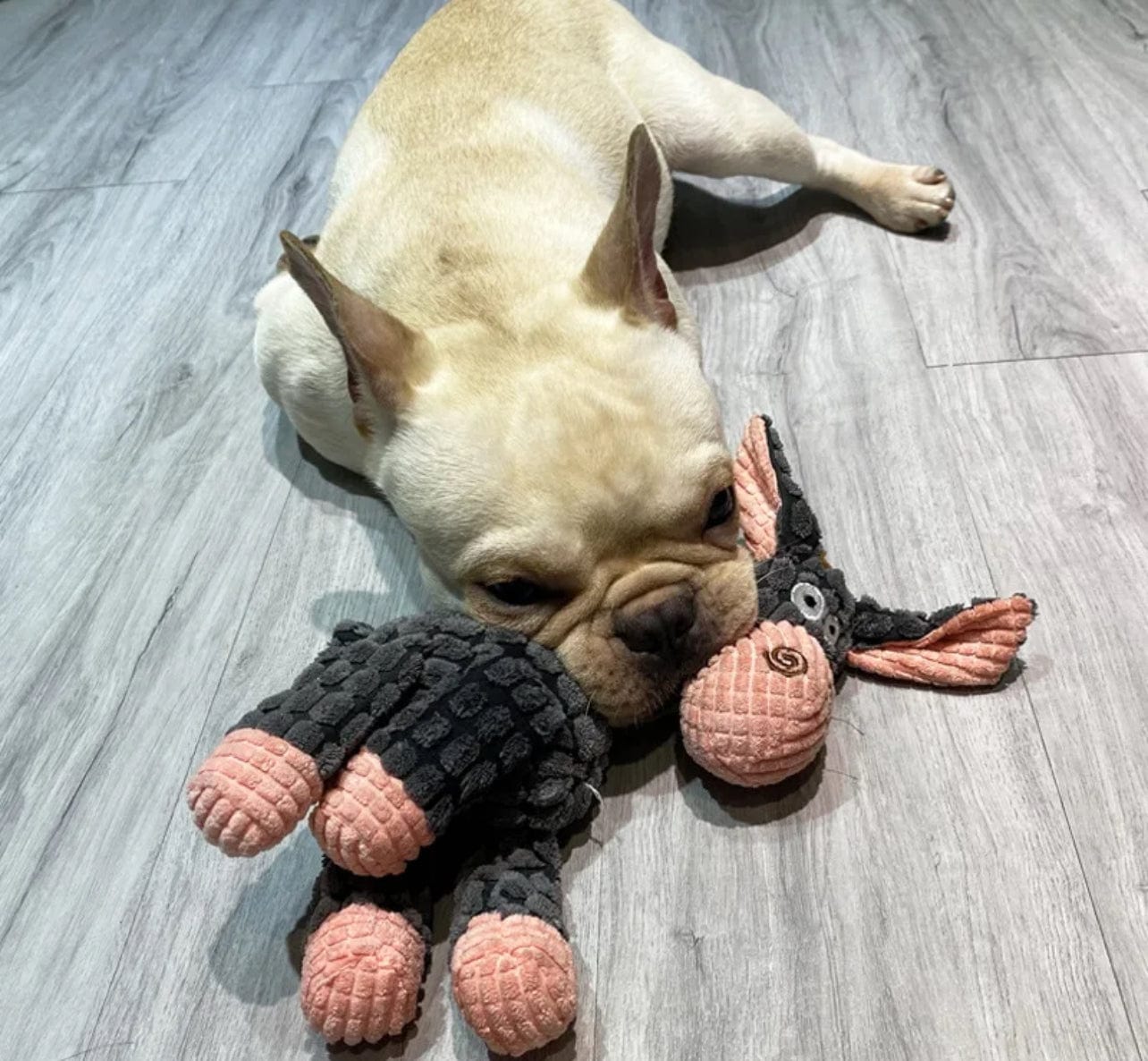 Aasi koiran pehmolelu - Tukkukoira