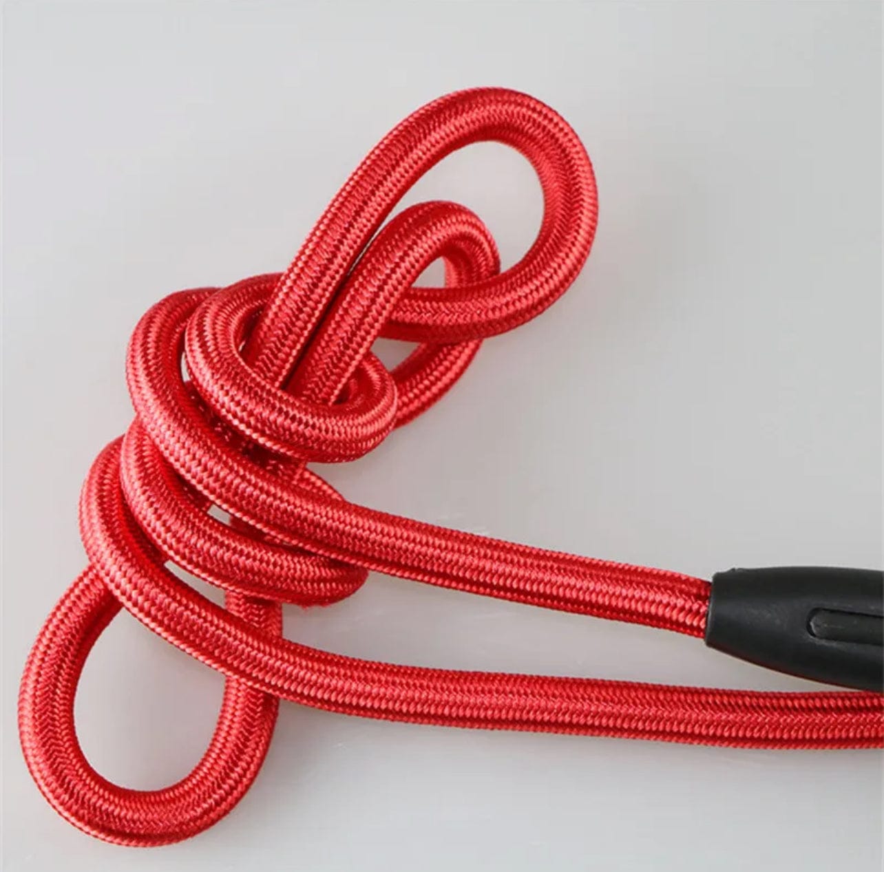 Paksu nylon noutajatalutin - Tukkukoira