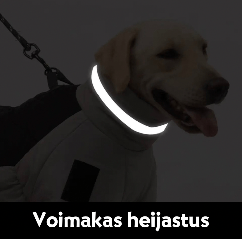 SUOJA™ Tuulenkestävä ja heijastava talvitakki - Tukkukoira