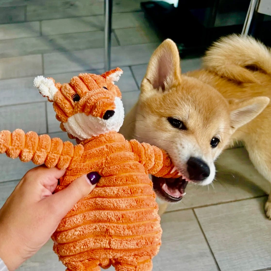 Koiran pehmolelu kettu - Tukkukoira