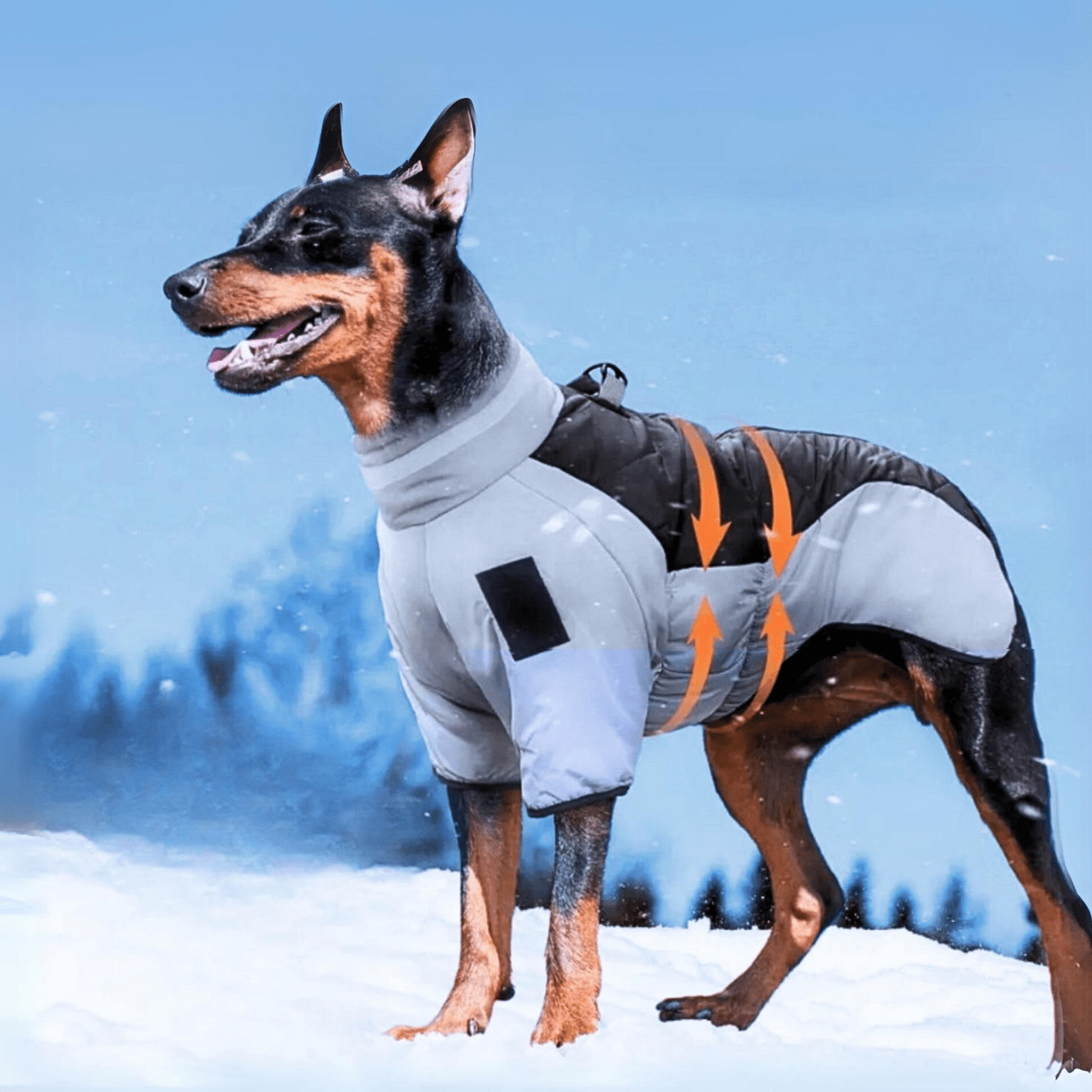 SUOJA™ Tuulenkestävä ja heijastava talvitakki - Tukkukoira