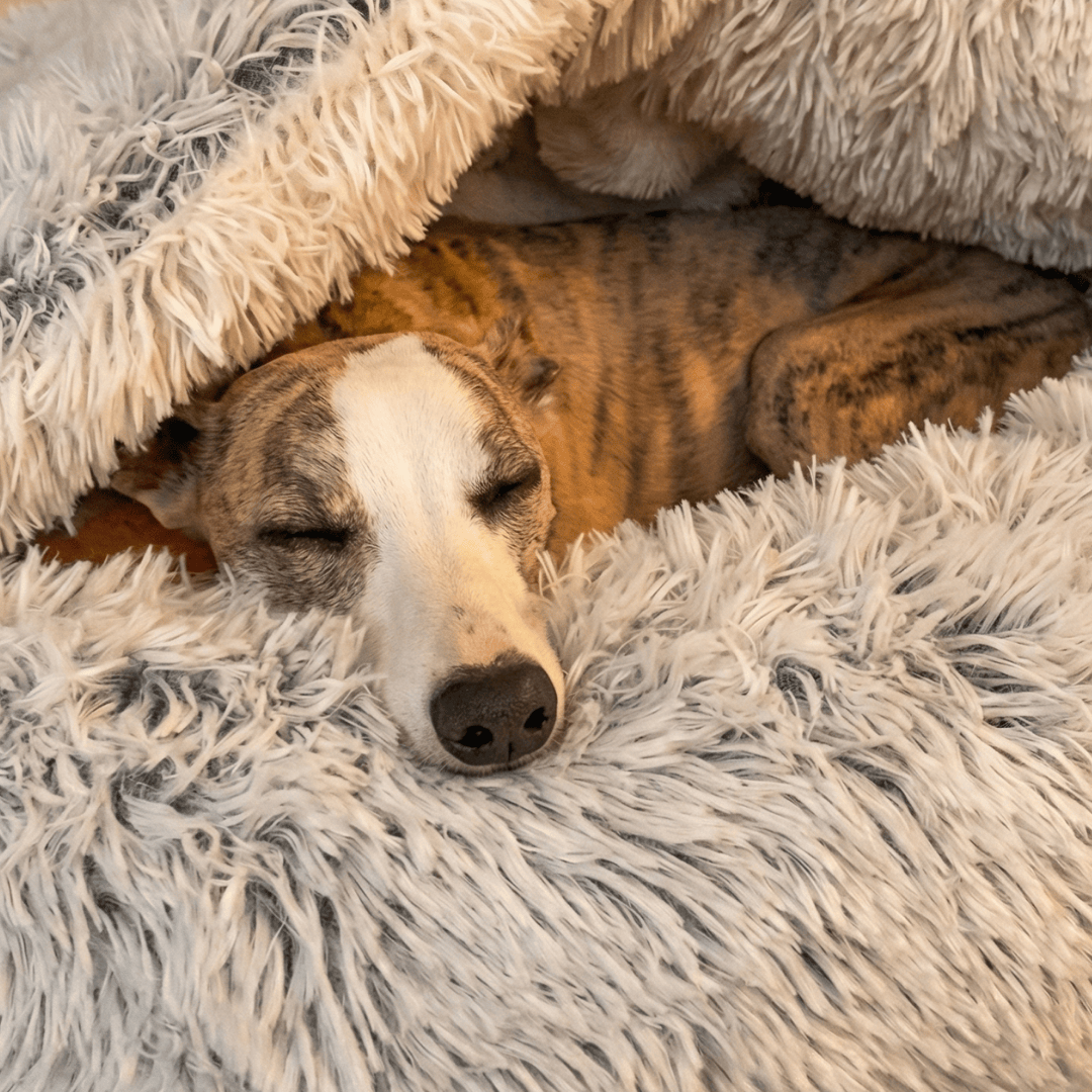 CozyCave™ rauhoittava luolapeti koirille