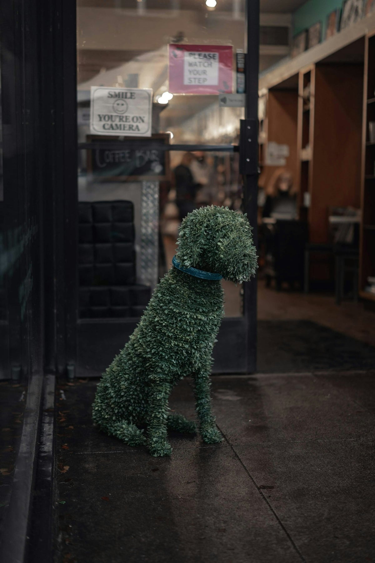 dog topiary plant near glass door