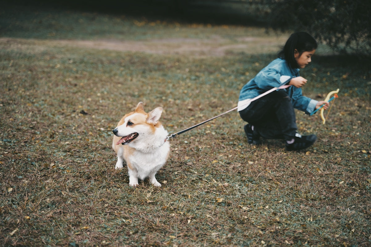 man in blue denim jacket and blue denim jeans sitting beside brown and white dog during