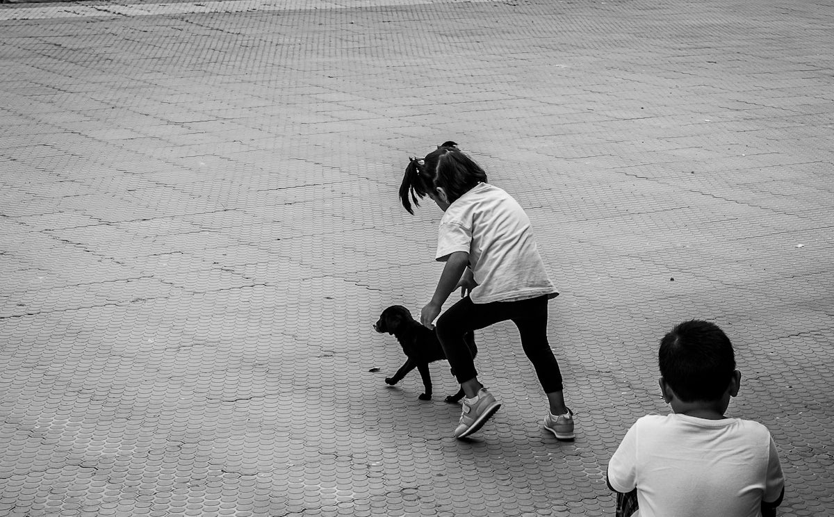 a person walking a dog