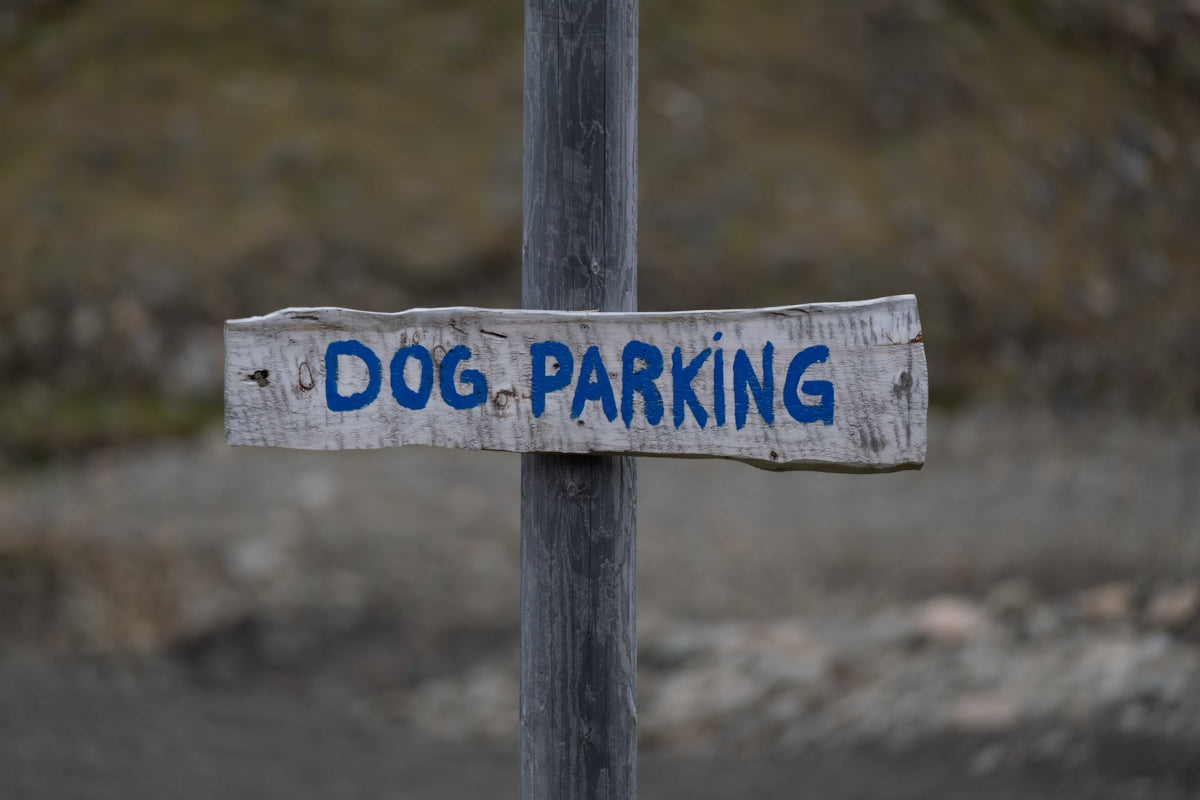 a dog parking sign posted on a wooden pole
