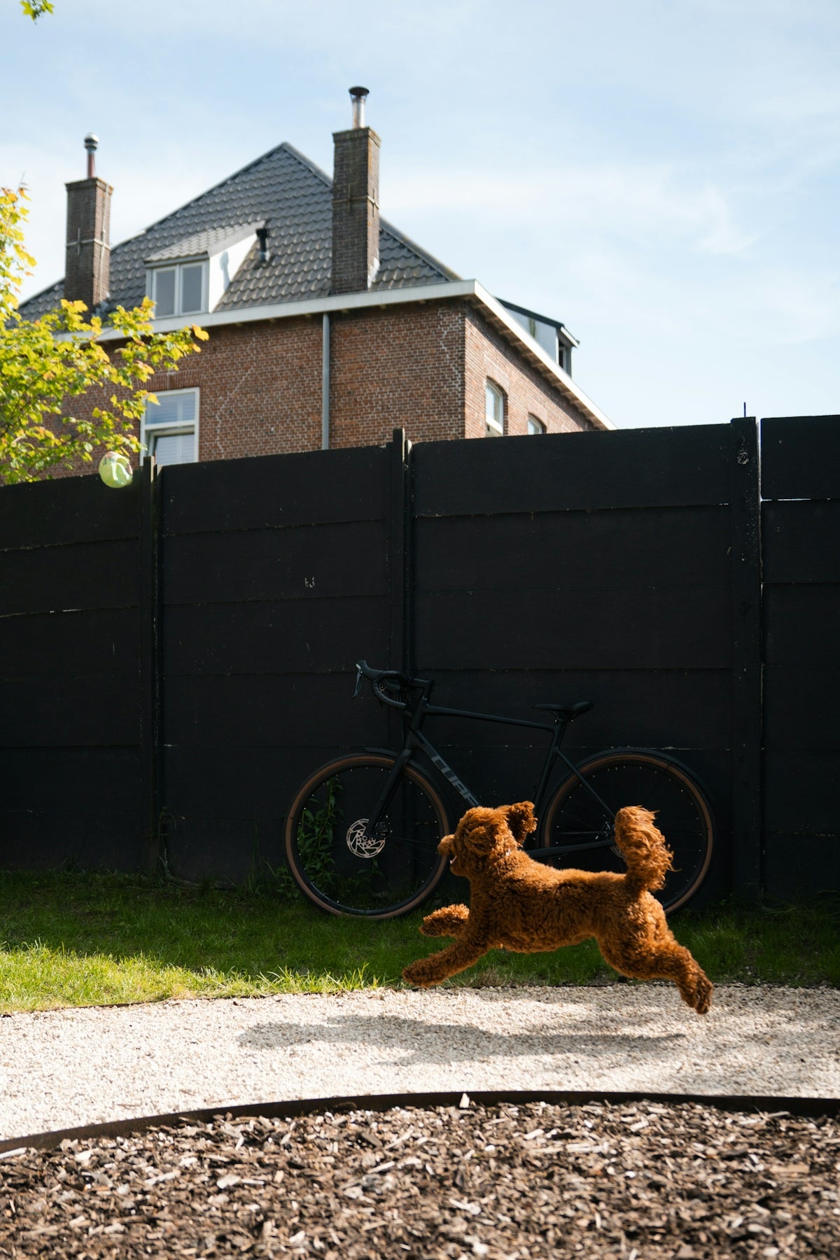 a teddy bear riding a bicycle in front of a fence