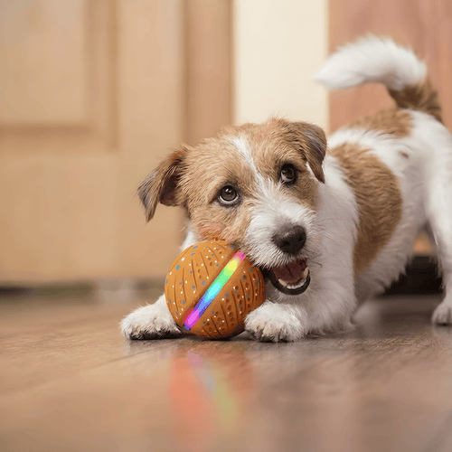 UUSI ÄlyPallo™ Light 2.0 - Pehmeämpi leikkikaveri sisätiloihin