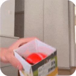 ÄlyPallo™ – Väsymätön leikkikaveri koiralle