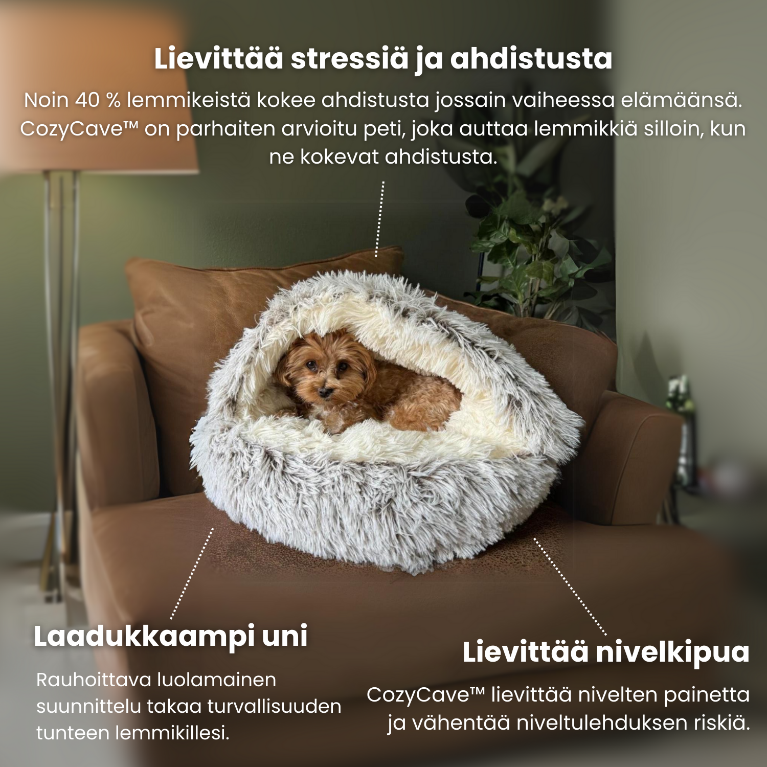 CozyCave™ peti lemmikeille - Tukkukoira 