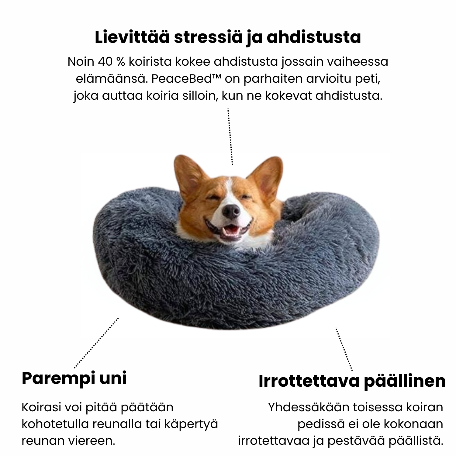PeaceBed™ turvallinen koiranpeti - Tukkukoira 