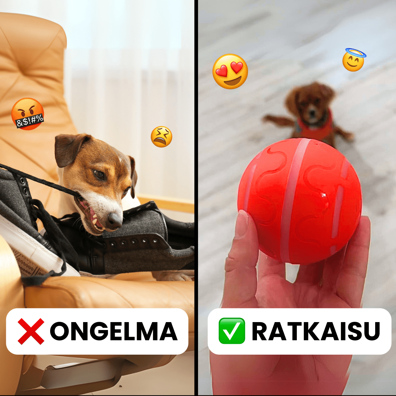 ÄlyPallo™ Itsestään liikkuva pallo - Tukkukoira 