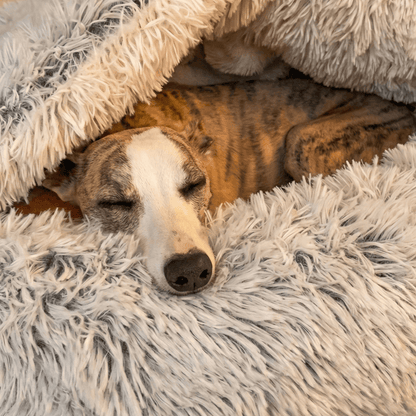 CozyCave™ rauhoittava luolapeti koirille